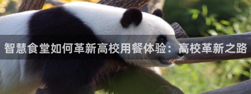 d88尊龙凯时
