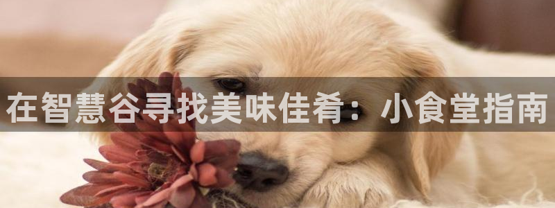 尊龙官方网站首页