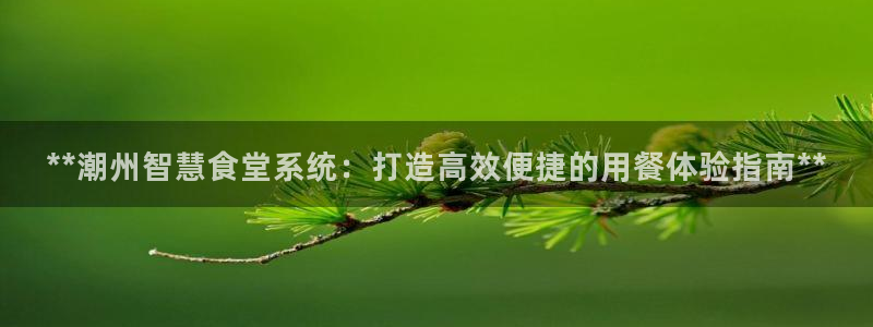 尊龙凯时平台不给出款怎么办：**潮州智慧食堂系统：打造高效便