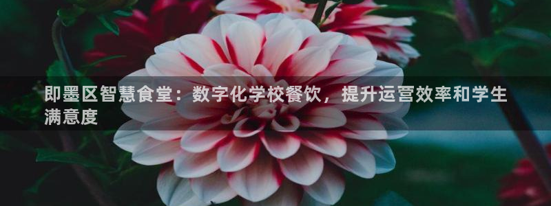 尊龙凯时登陆入口：即墨区智慧食堂：数字化学校餐饮，提升运营效