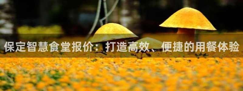 尊龙官方身高