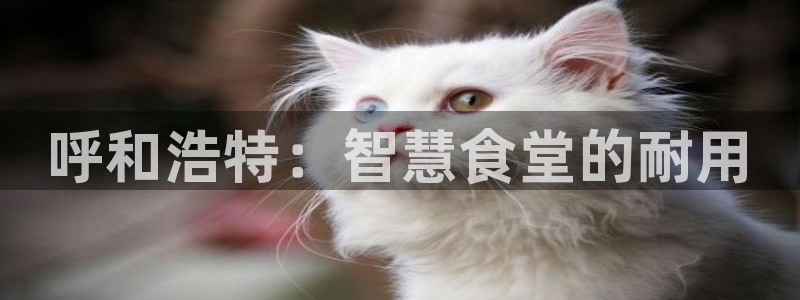 尊龙官方网址