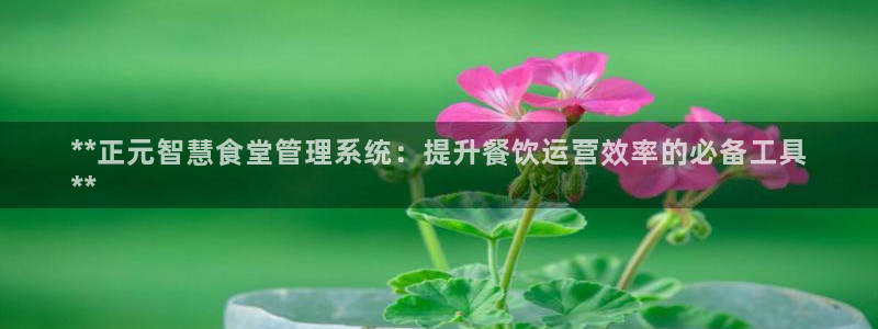尊龙品牌怎么样：**正元智慧食堂管理系统：提升餐饮运营效率的
