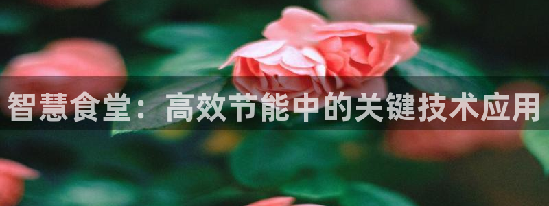 尊龙凯时老板
