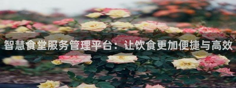 尊龙官网免费下载安卓