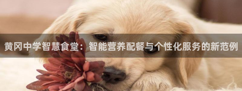 尊龙凯时ag旗舰厅