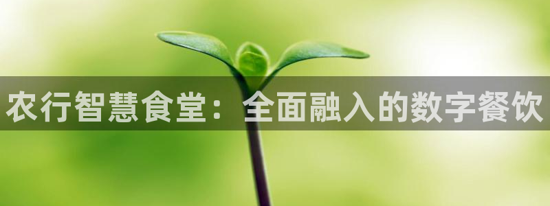 尊龙长相评价